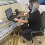 ADOPTAN CORPORATIVOS DE CANCÚN TENDENCIA ‘DOG FRIENDLY’