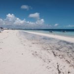 NO SE ESPERAN ARRIBOS MASIVOS DE SARGAZO PARA LAS COSTAS DE QUINTANA ROO