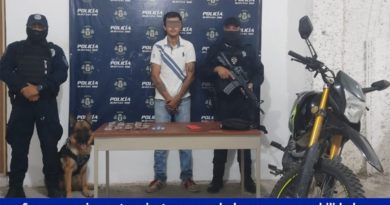 Cancún: Unidad Canina detecta a narcomenudista en el Arco Norte.