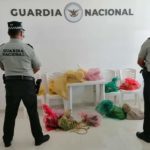 RESCATA GUARDIA NACIONAL AVES EXÓTICAS