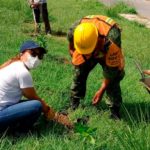MANTIENE GOBIERNO DE QUINTANA ROO REFORESTACIÓN EN CHETUMAL