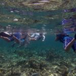 RECAUDAN VISITAS A ÁREAS NATURALES PROTEGIDAS SEIS MILLONES DE PESOS