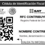 AVALAN DIPUTADOS RFC OBLIGATORIO A MAYORES DE EDAD