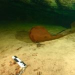 HALLAN CANOA PREHISPÁNICA Y OTROS VESTIGIOS MAYAS EN LA PENÍNSULA DE YUCATÁN