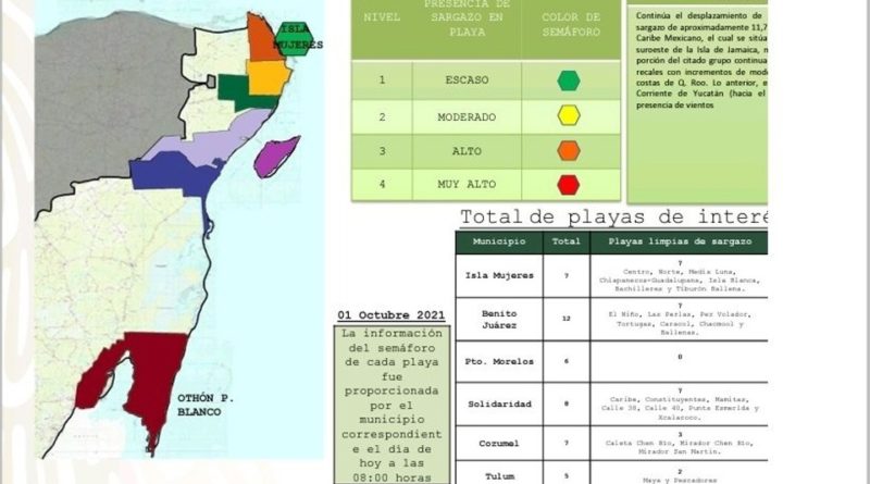 PUERTO MORELOS, EL MUNICIPIO QUINTANARROENSE CON MAYOR PRESENCIA DE SARGAZO.