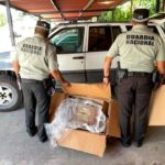 ASEGURA GUARDIA NACIONAL CUATRO KILOS DE MARIHUANA EN CHETUMAL