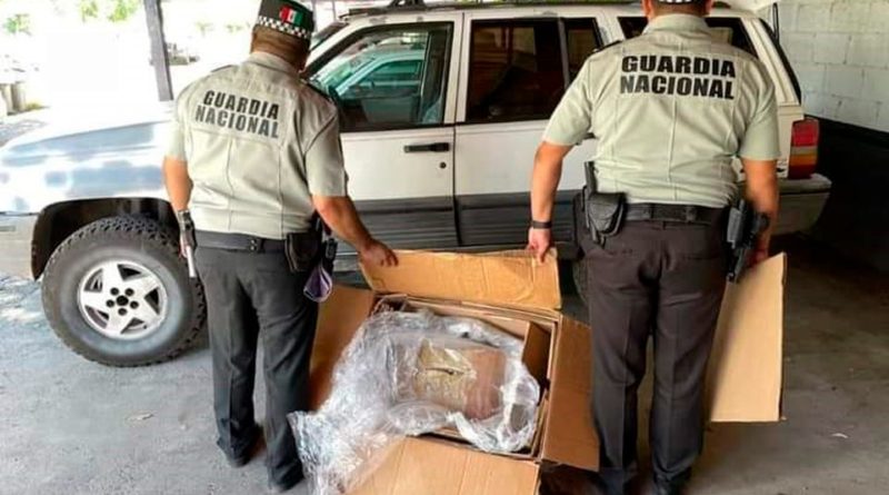 ASEGURA GUARDIA NACIONAL CUATRO KILOS DE MARIHUANA EN CHETUMAL.