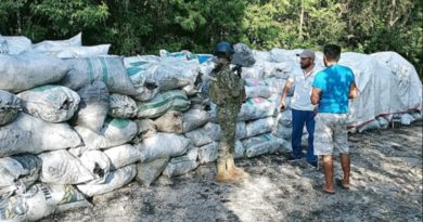 SECRETARÍA DE MARINA ASEGURA EN QUINTANA ROO 41 TONELADAS DE CARBÓN VEGETAL Y 101 METROS DE MADERA.