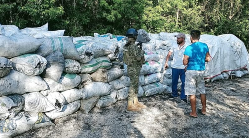 SECRETARÍA DE MARINA ASEGURA EN QUINTANA ROO 41 TONELADAS DE CARBÓN VEGETAL Y 101 METROS DE MADERA.