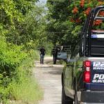 HALLAN NARCO-FOSA EN LA REGIÓN 520