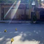 FGE DETIENE A SUJETO PRESUNTAMENTE INVOLUCRADO EN BALACERA DE TULUM