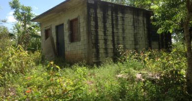 SAN LUIS, UN PUEBLO FANTASMA DEL MUNICIPIO DE LÁZARO CÁRDENAS.