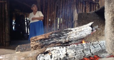 HELADEZ SE ‘ENSAÑA’ CON 30 POR CIENTO DE POBLACIÓN DE LÁZARO CÁRDENAS.