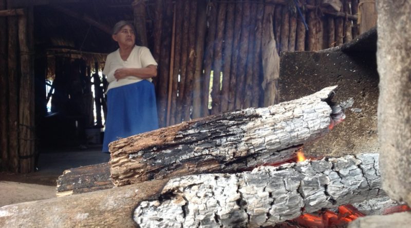 HELADEZ SE ‘ENSAÑA’ CON 30 POR CIENTO DE POBLACIÓN DE LÁZARO CÁRDENAS.