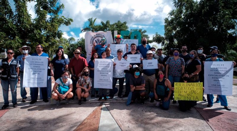 RECHAZAN EN CANCÚN LA INICIATIVA DE LEY DE BIENESTAR ANIMAL AL CARECER DE SUSTENTO CIENTÍFICO.