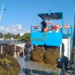 RECOLECTÓ LA MARINA MÁS DE 44 MIL TONELADAS DE SARGAZO DE PLAYAS DE QUINTANA ROO