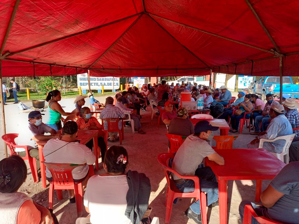 Se retirarán hasta que sus productores de Quintana Roo y los representantes del Ingenio San Rafael de Pucté lleguen a acuerdos para ese fin.