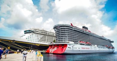 Van cerca de 250 cruceros recibidos desde que se inició la actividad en julio pasado y podrían cerrar este año con unos 300..