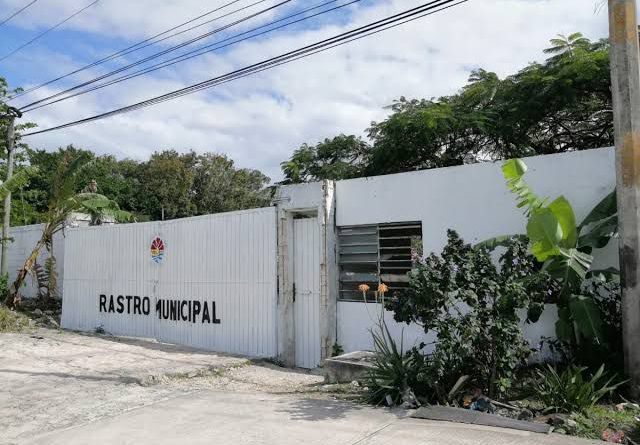 DETECTAN PAGOS EN EXCESO POR DIVERSOS MATERIALES Y SERVICIOS EN EL TREN MAYA.