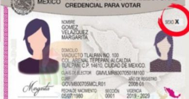 EL INSTITUTO NACIONAL ELECTORAL EXPEDIRÁ CREDENCIALES PARA VOTAR PARA PERSONAS NO BINARIAS.