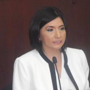 Sobresale en la lista el nombre de la ex titular del Instituto Electoral del Estado (Ieqroo), Mayra San Román Carrillo,