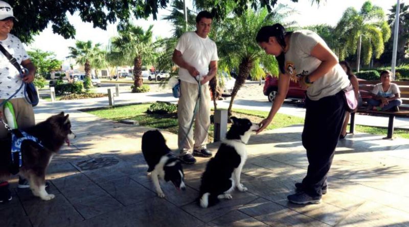 MULTARÁN EN BENITO JUÁREZ A QUIEN NO CENSE SU MASCOTA.