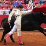 DIPUTADOS CABILDEAN PARA QUE VUELVAN LAS CORRIDAS DE TOROS Y LAS PELEAS DE GALLOS