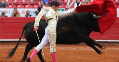 DIPUTADOS CABILDEAN PARA QUE VUELVAN LAS CORRIDAS DE TOROS Y LAS PELEAS DE GALLOS