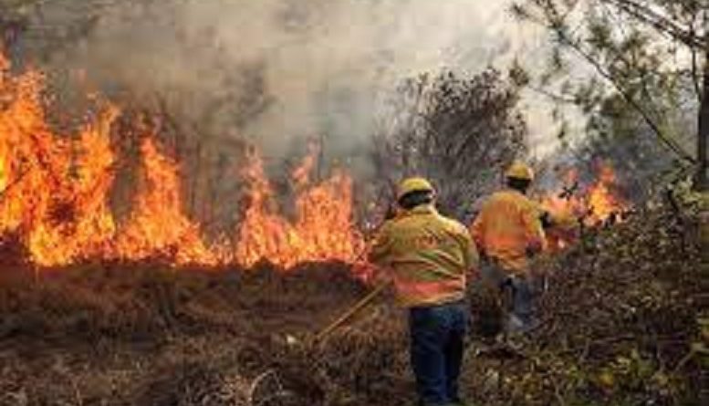 EN BJ INICIA OPERACIONES EL COMITÉ ESPECIALIZADO EN INCENDIOS FORESTALES Y URBANOS TEMPORADA 2023